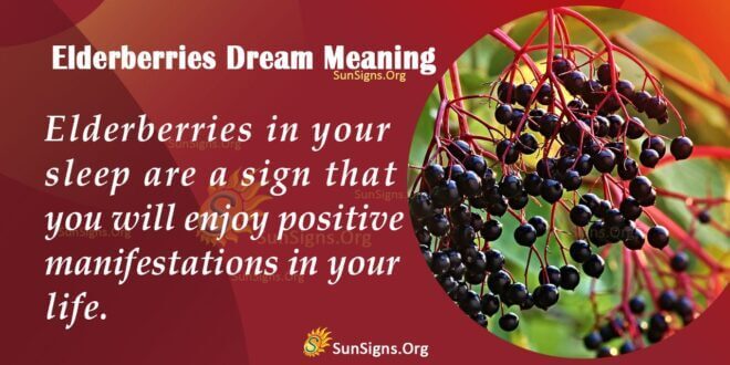 Elderberries Dream Meaning