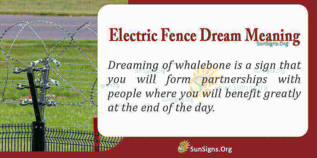 Seeing An Electric Fence In Your Dream Meaning, Interpretation And