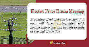 Electric Fence Dream Meaning