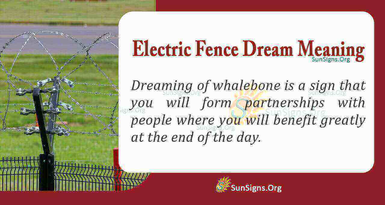 Seeing An Electric Fence In Your Dream Meaning, Interpretation And