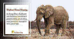 Elephant Dream Meaning