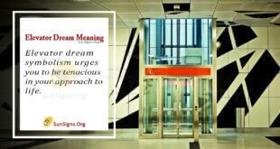 Elevator Dream Meaning