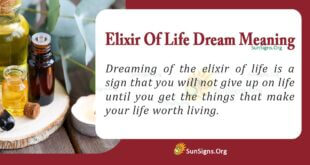 Elixir Of Life By Dream Meaning