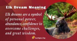 Elk Dream Meaning
