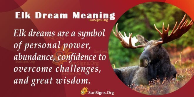 Elk Dream Meaning