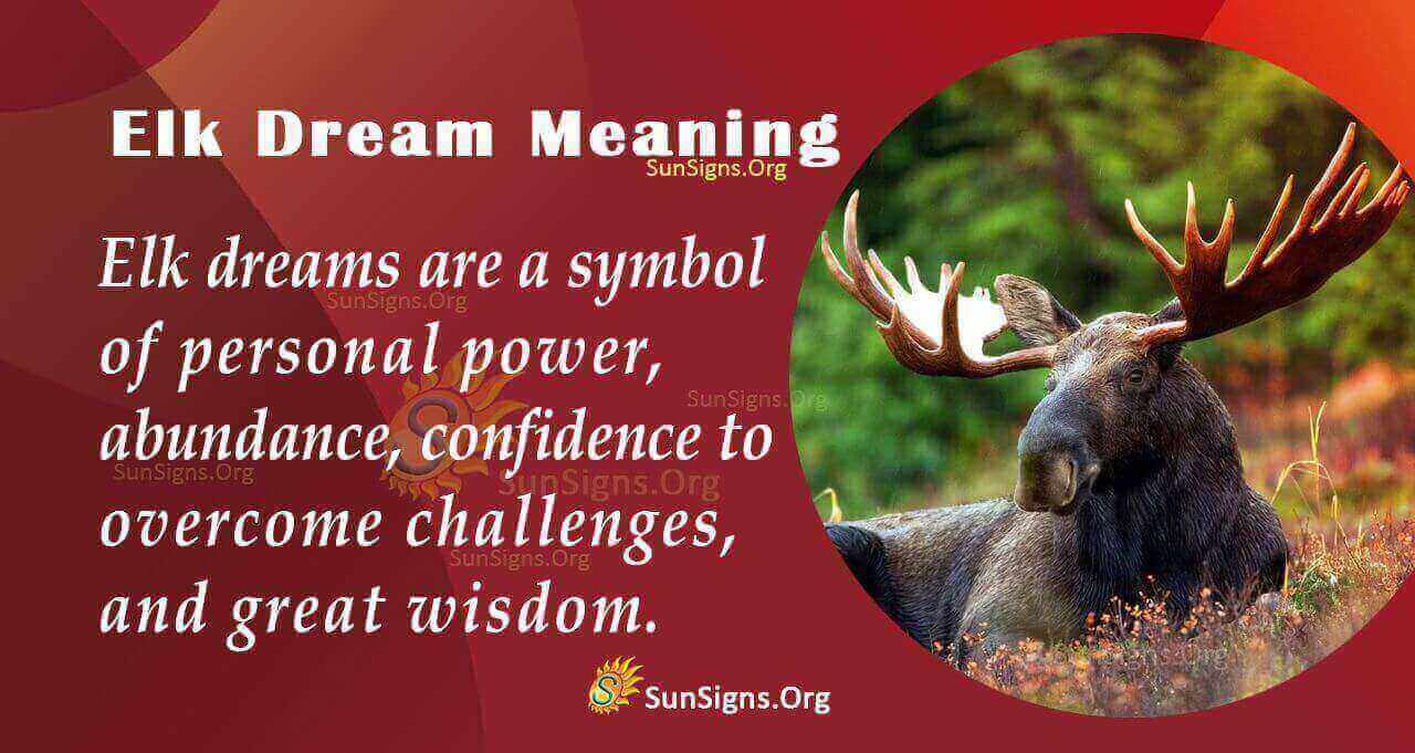 See An Elk In Your Dream Meaning, Interpretation And Symbolism
