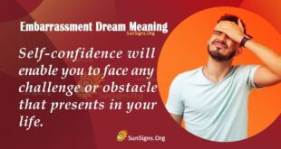 Embarrassment Dream Meaning