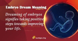 Embryo Dream Meaning