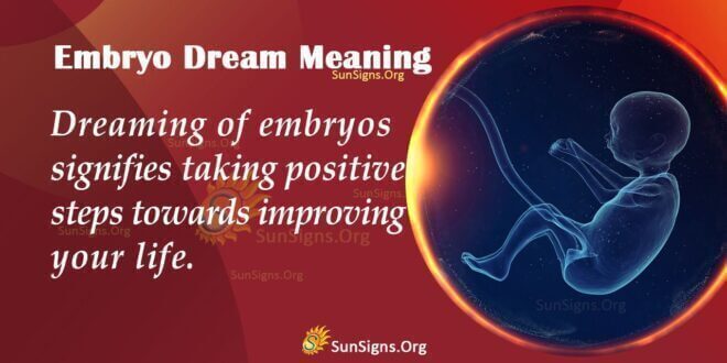 Embryo Dream Meaning