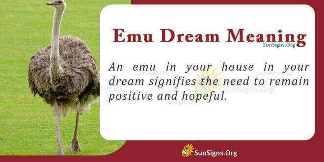 Emu Dream Meaning
