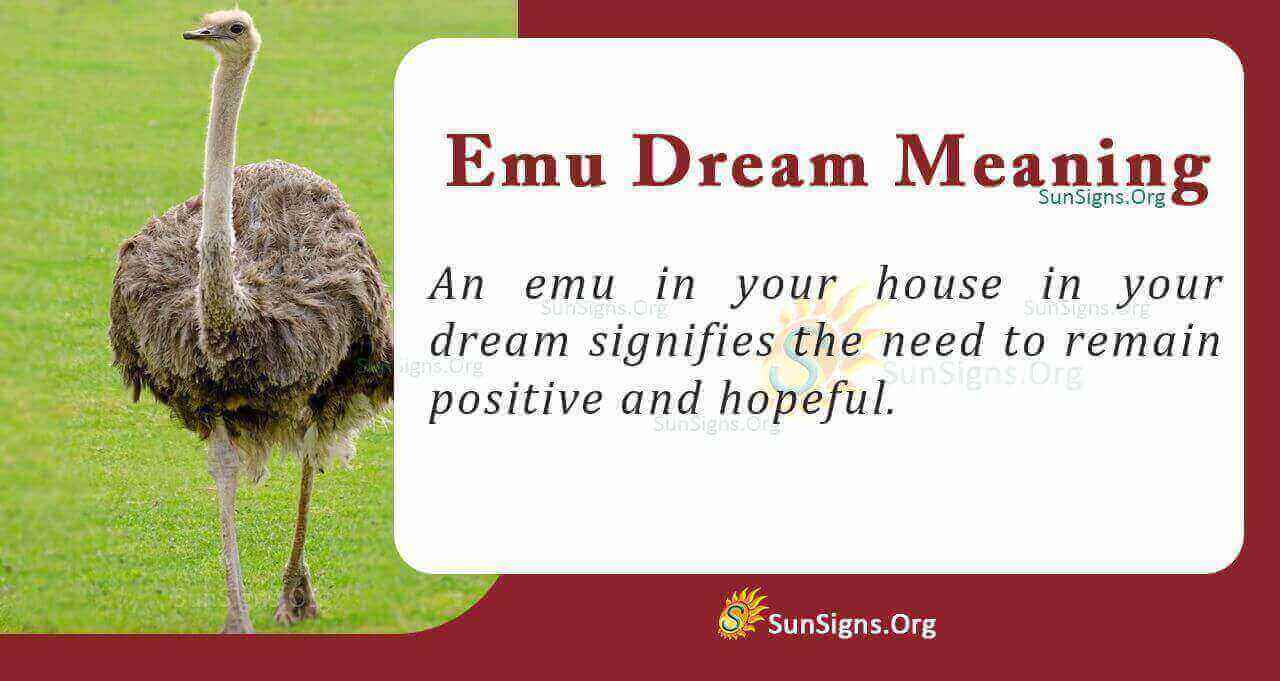 Seeing an Emu in Your Dream Meaning, Interpretation and Symbolism