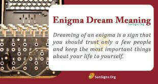 Enigma Dream Meaning