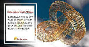 Entanglement Dream Meaning