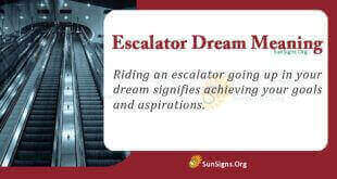 Escalator Dream Meaning
