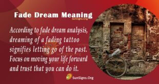 Fade Dream Meaning