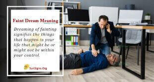 Faint Dream Meaning