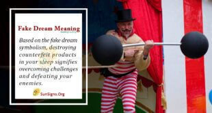 Fake Dream Meaning