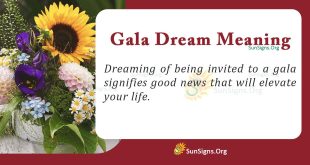 Gala Dream Meaning