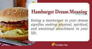 Hamburger Dream Meaning