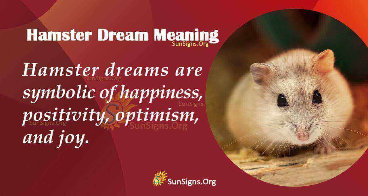 Is Dreaming Of A Hamster Symbolic? Meaning, Interpretation and