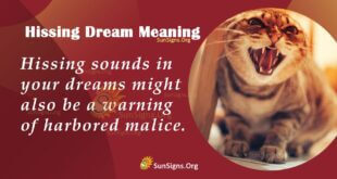 Hissing Dream Meaning