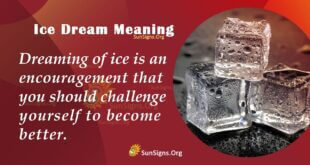 Ice Dream Meaning