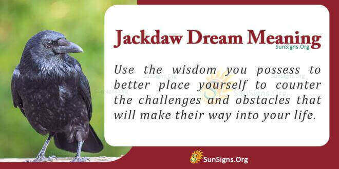 Jackdaw Dream Meaning