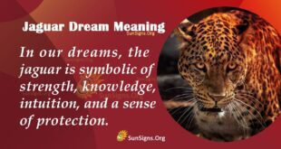 Jaguar Dream Meaning