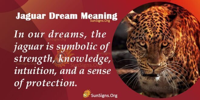 Jaguar Dream Meaning