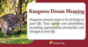 Kangaroo Dream Meaning