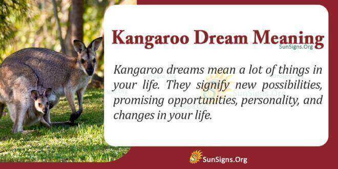 Kangaroo Dream Meaning