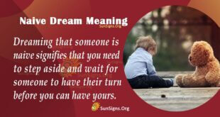 Naive Dream Meaning