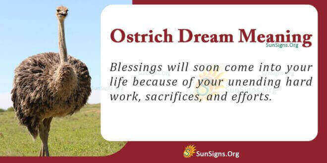 Ostrich Dream Meaning