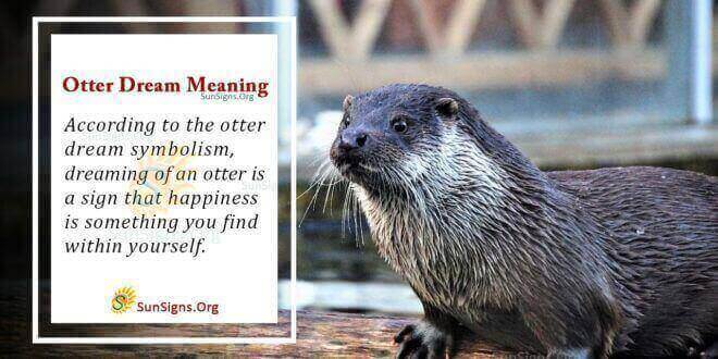 Otter Dream Meaning