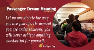 Passenger Dream Meaning