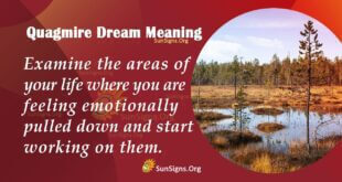 Quagmire Dream Meaning