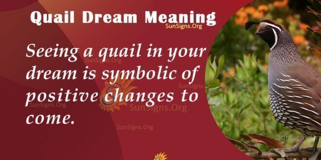 Quail Dream Meaning