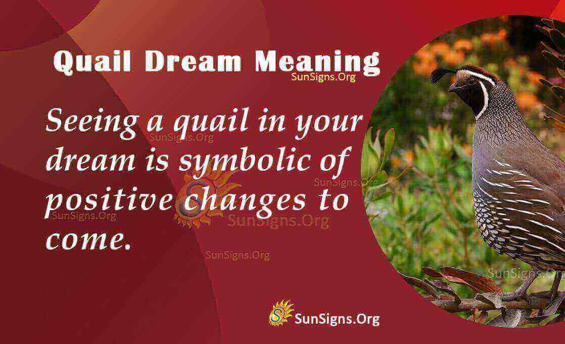 Quail In Dreams Meaning, Interpretation And Symbolism