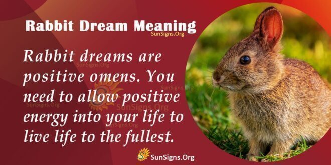 Rabbit Dream Meaning