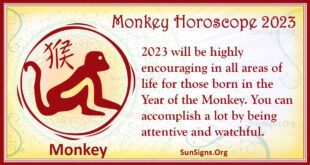monkey 2023