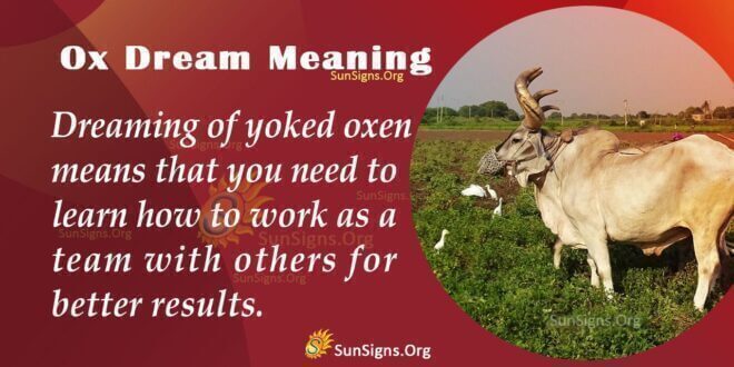 Ox Dream Meaning