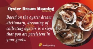 Oyster Dream Meaning