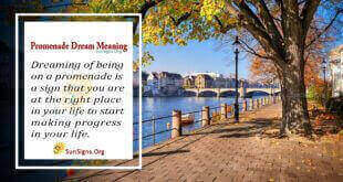 Promenade Dream Meaning;