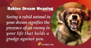 Rabies Dream Meaning