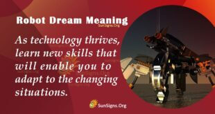 Robot Dream Meaning