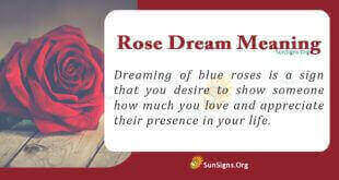 Roses Dream Meaning