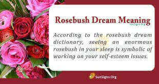 Rosebush Dream Meaning