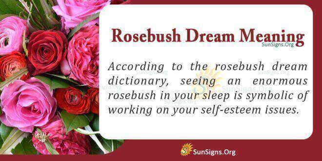 Rosebush Dream Meaning