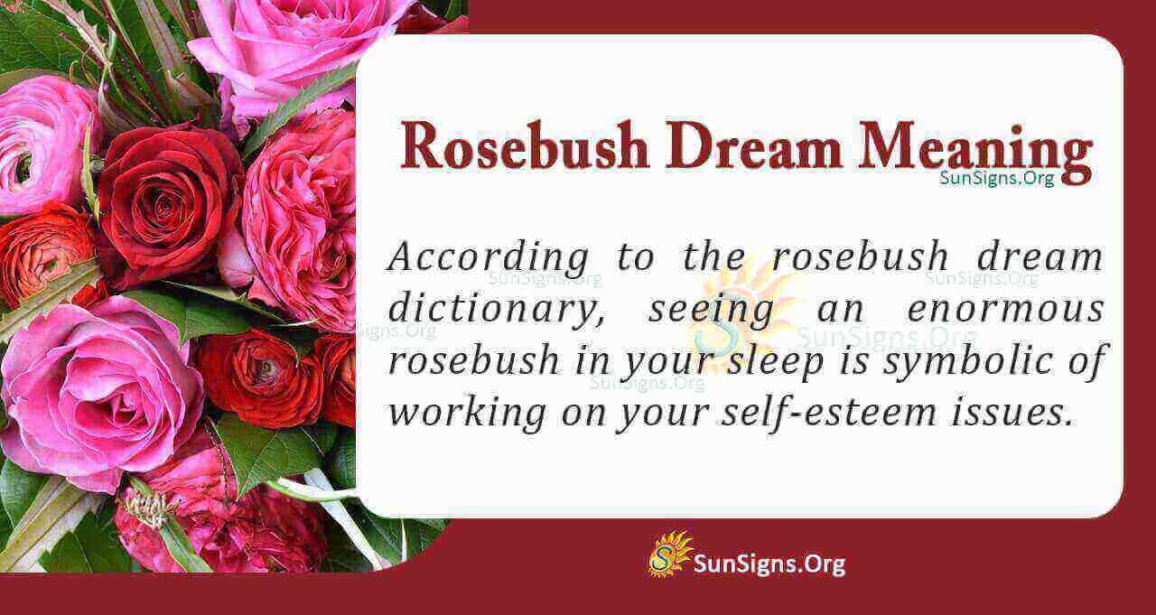 What Is The Meaning Of A Rosebush Dream Interpretation And Symbolism