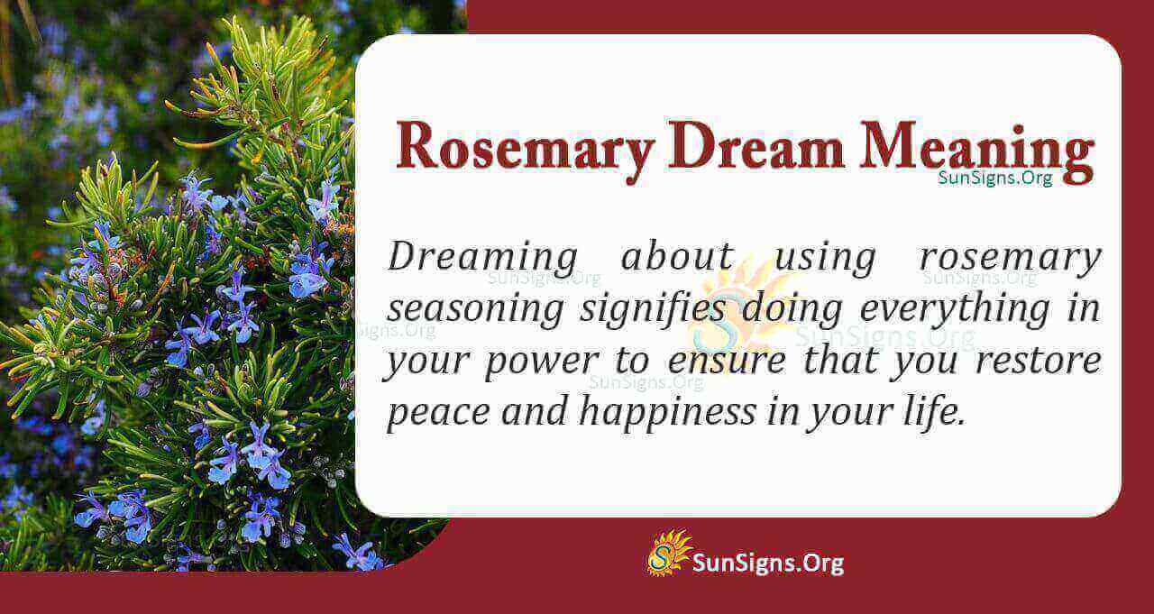 What Does a Dream About Rosemary Mean? Meaning, Interpretation And Symbolism